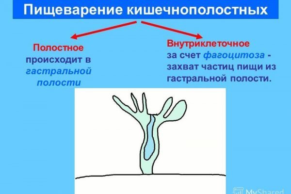 Вход в кракен чтобы купить меф